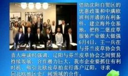 最新辽阳爆料新闻,揭秘某重大事件背后真相