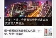 成都4套新闻爆料热线,聚焦民生，倾听民意