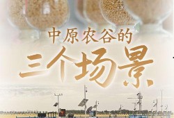 中原农谷爆料视频,视频爆料带你探秘农业科技新篇章